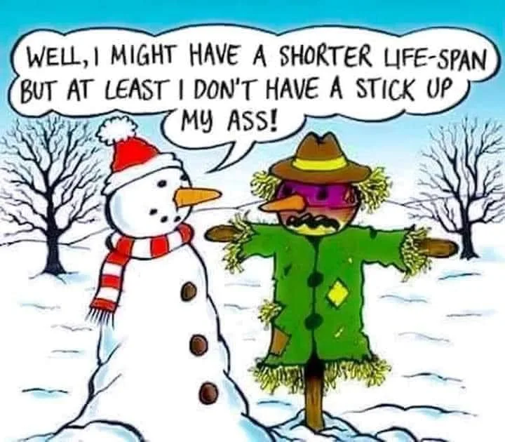 snowman meme