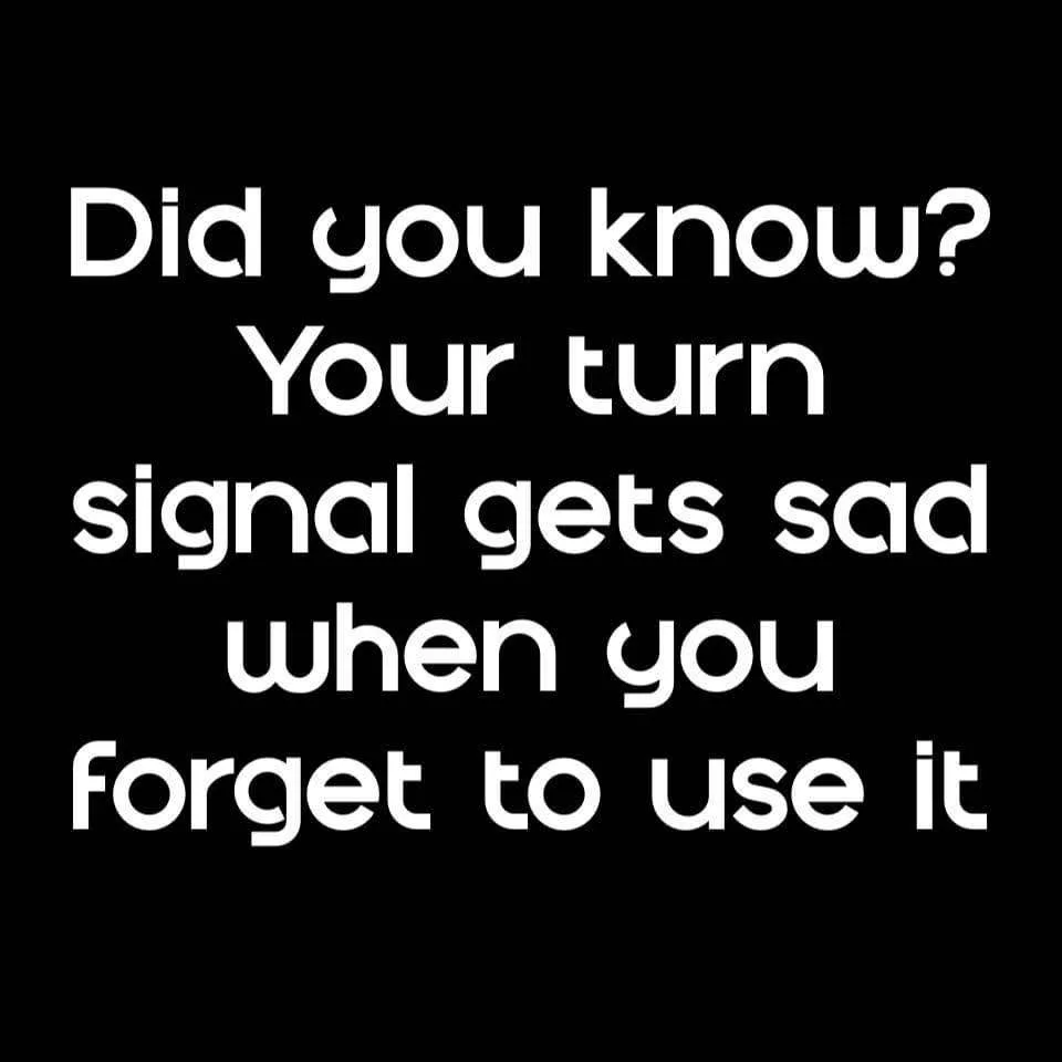 turn signal meme