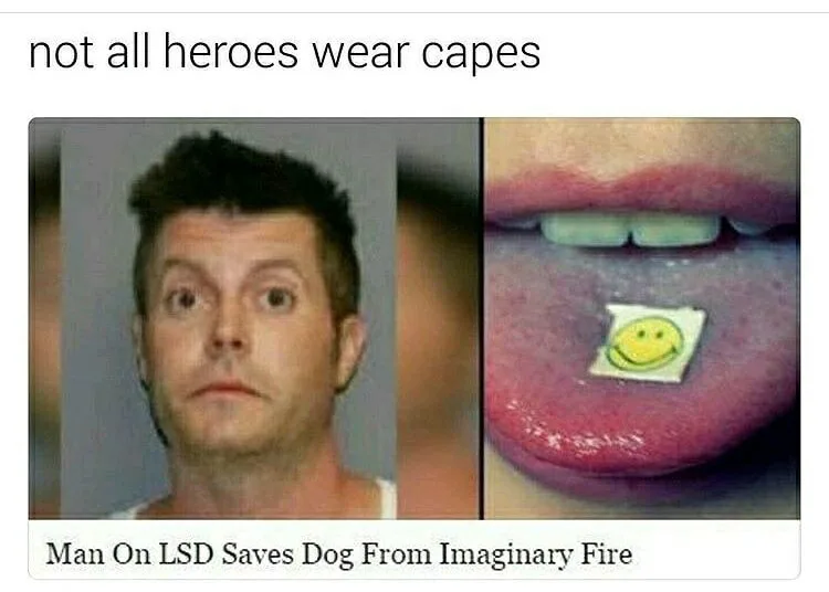 LSD meme