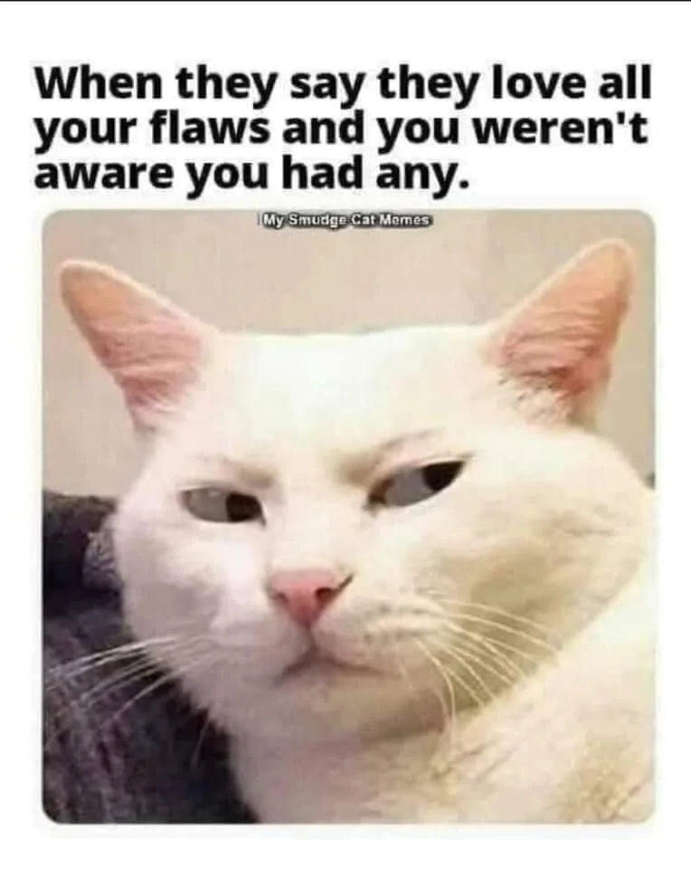 flaw meme