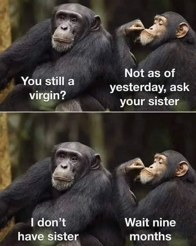masculinity meme