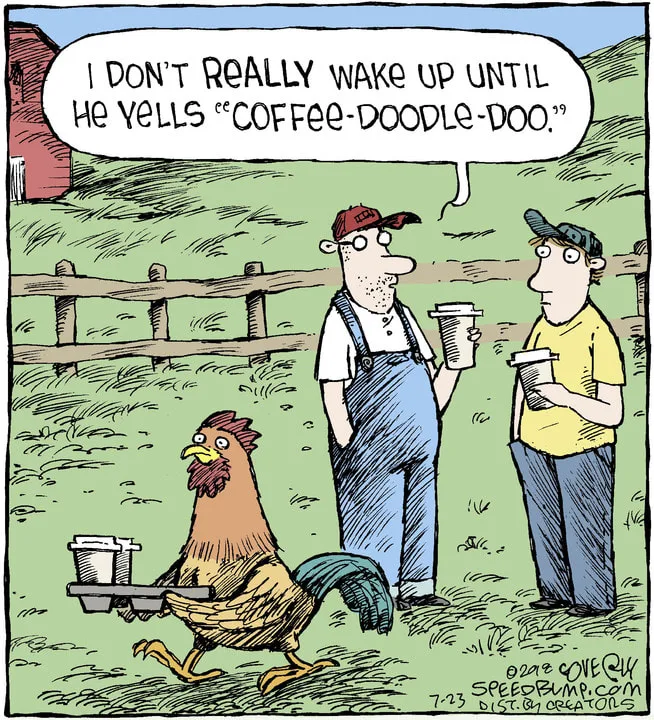chicken meme