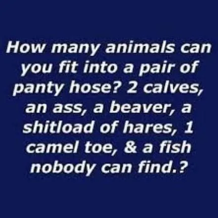 pantyhose meme
