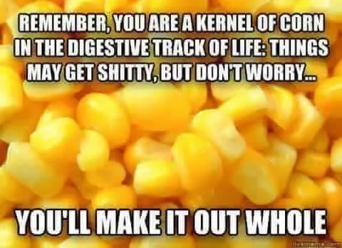 digestive system meme