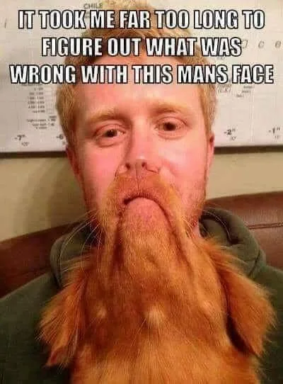 optical illusion meme