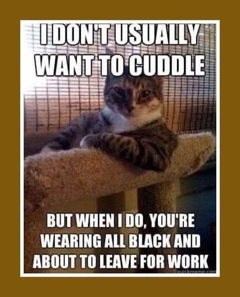 cuddling meme