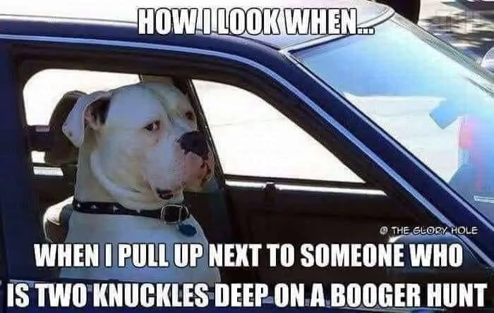 driving meme