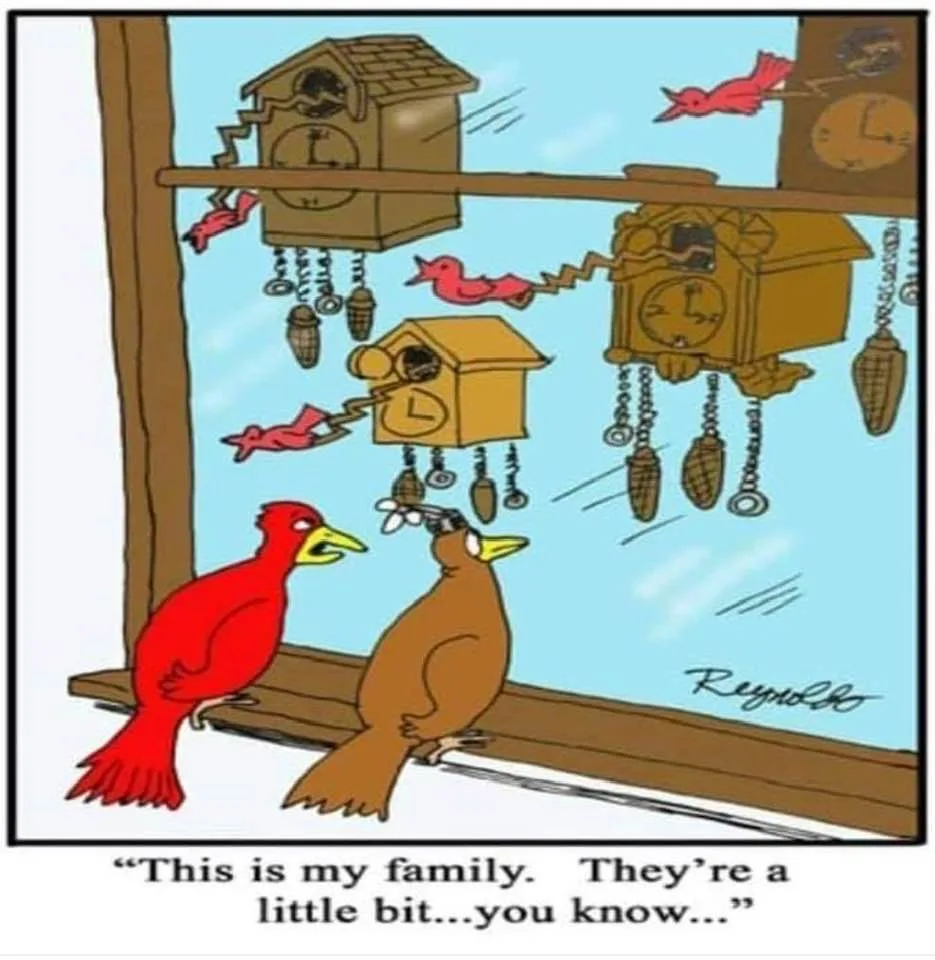 bird meme