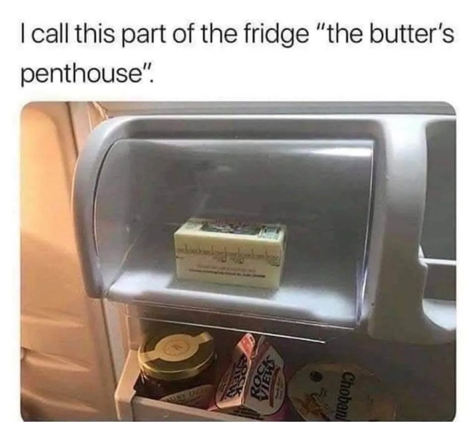 refrigerator meme