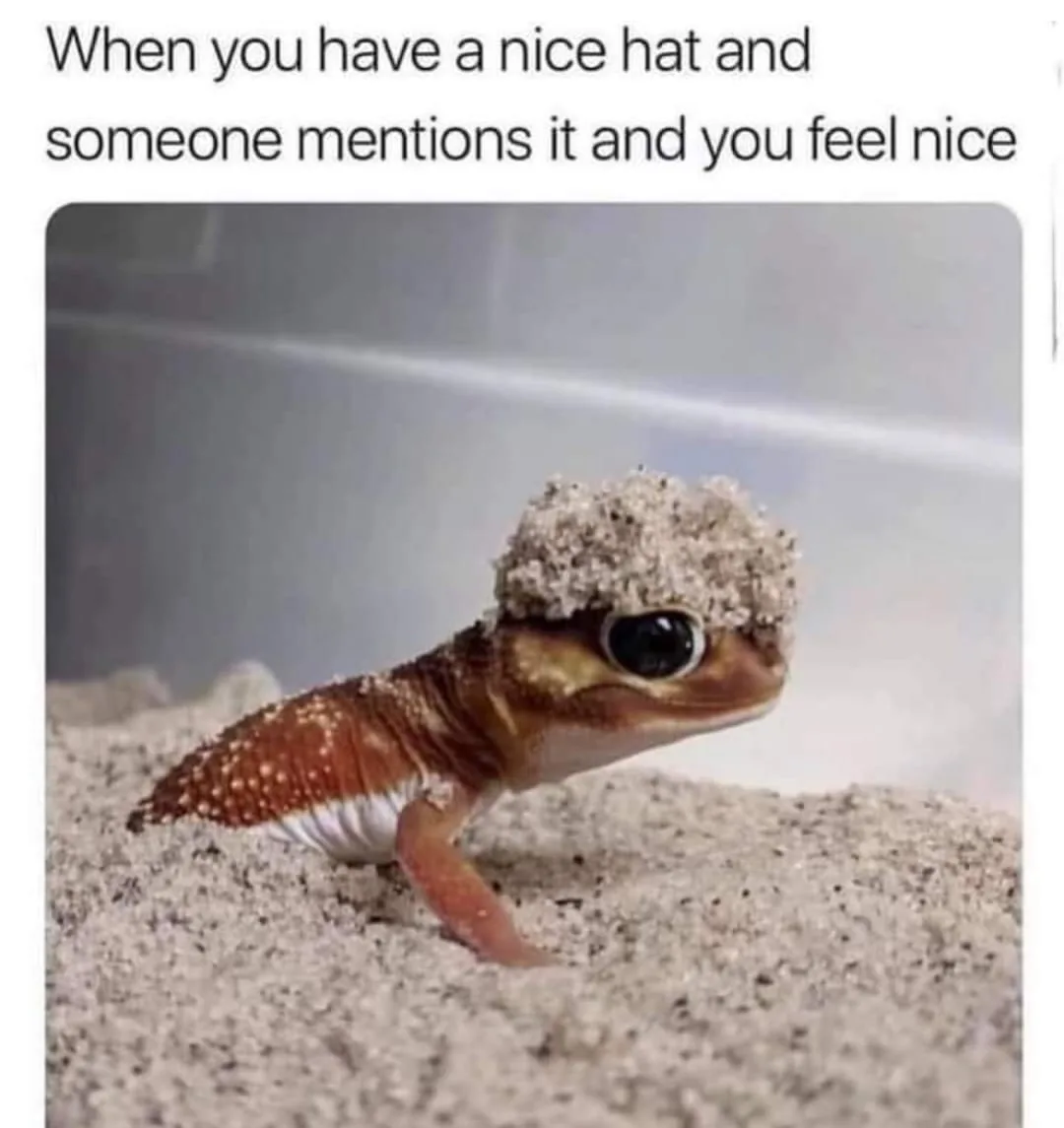 hat meme