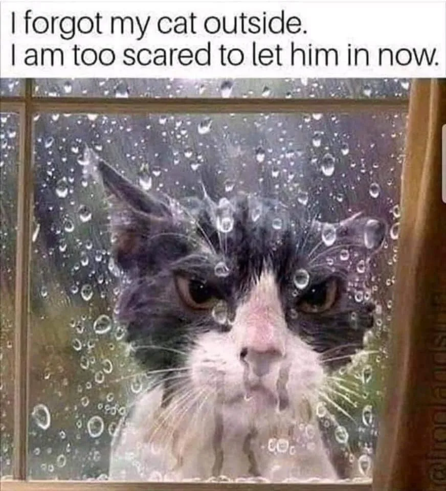 outside meme