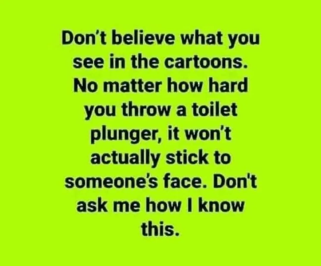 toilet plunger meme