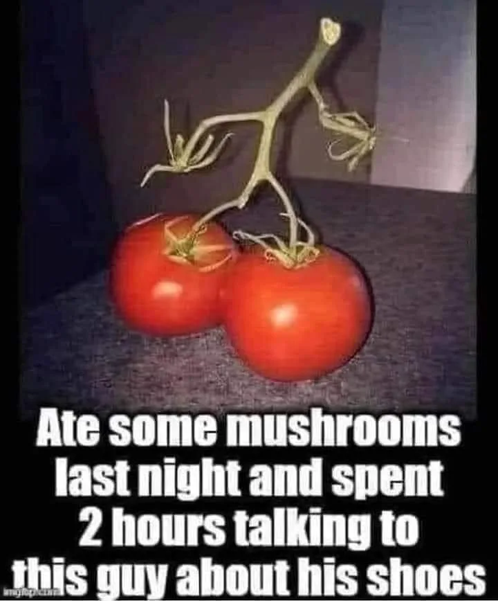 magic mushroom meme