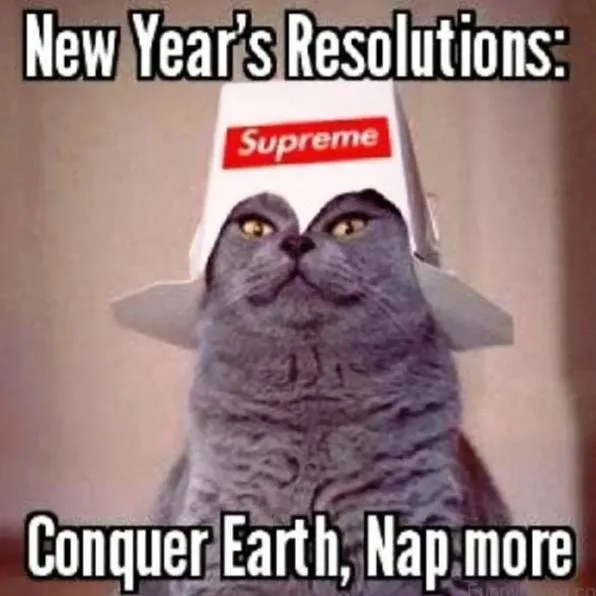 New Year's resolution meme