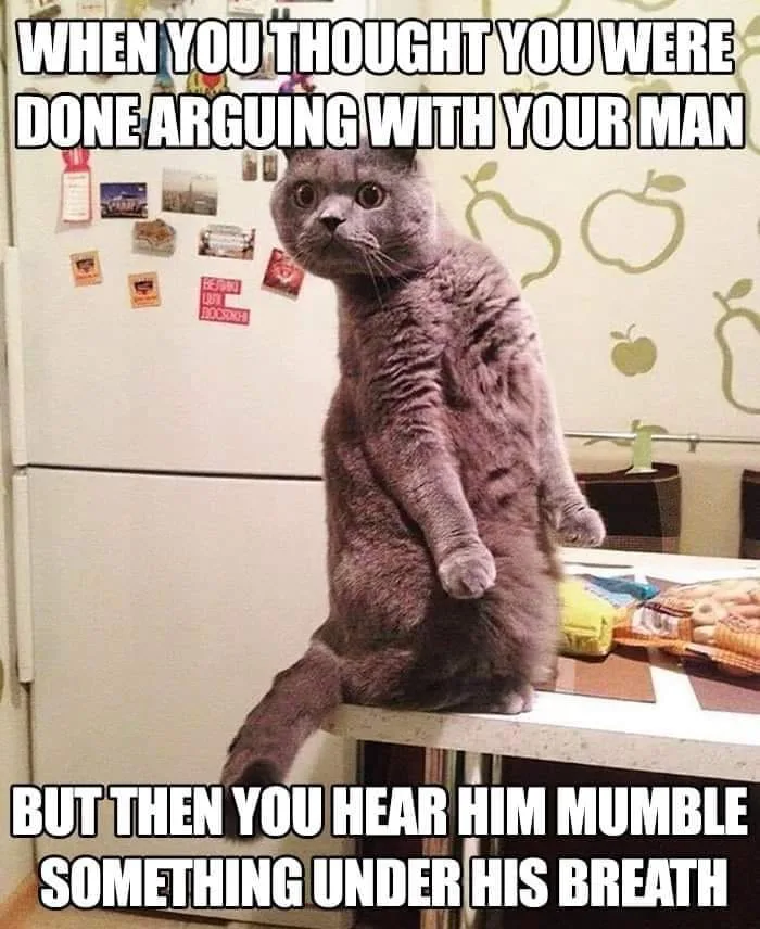 quarrelling meme