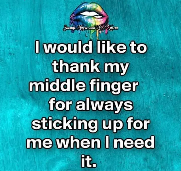 middle finger meme
