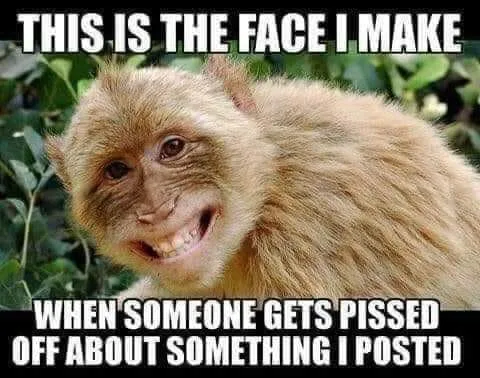 internet trolling meme