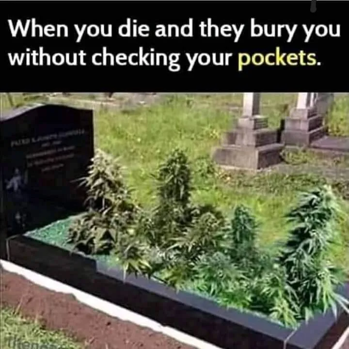 smoking weed meme