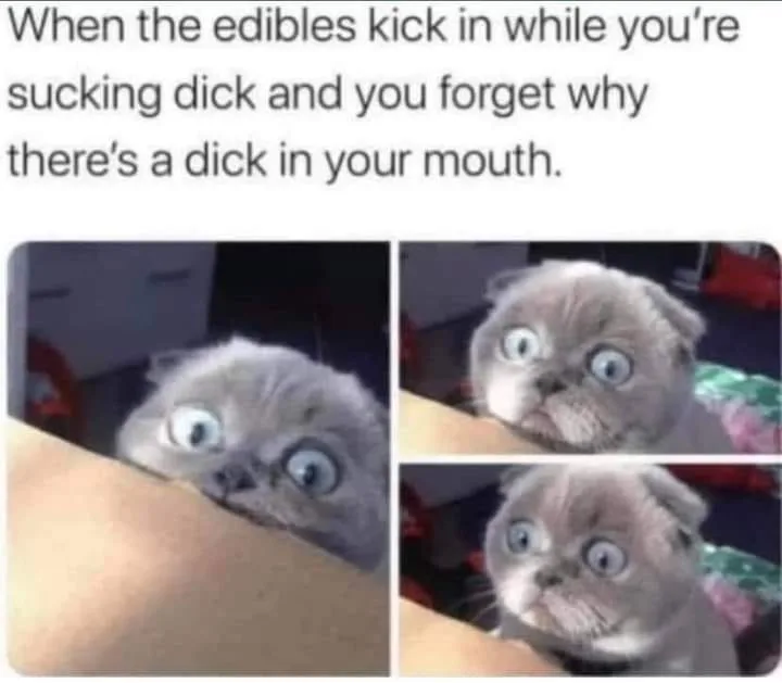 edible meme