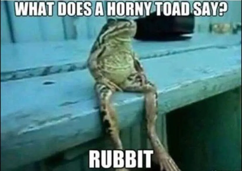 toad meme