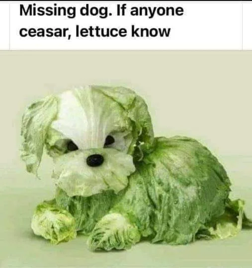 lettuce meme