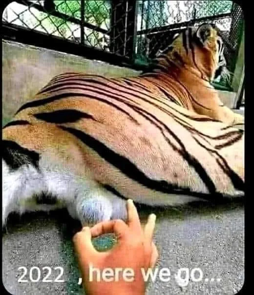 2022 meme