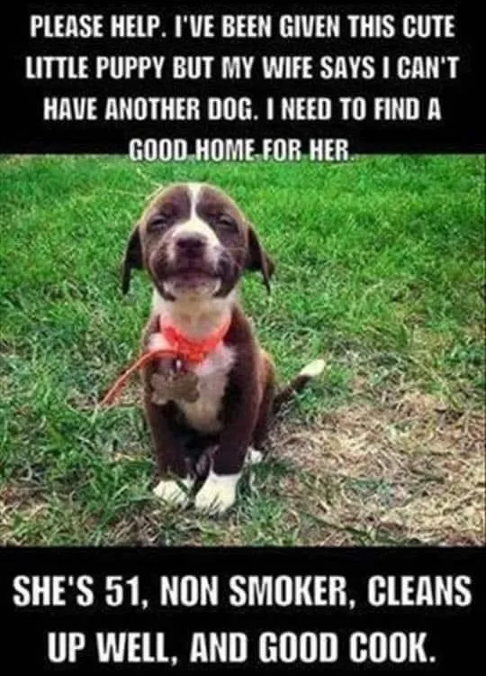adoption meme
