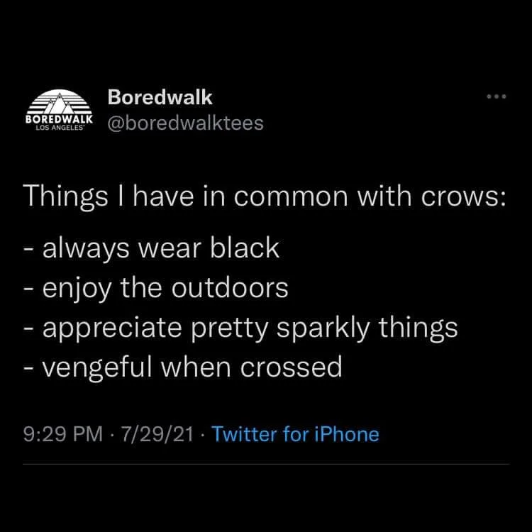 crow meme