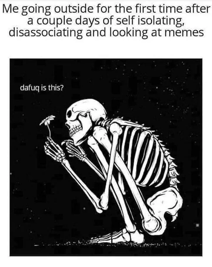 isolation meme