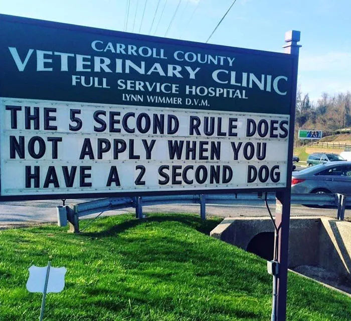 five second rule meme