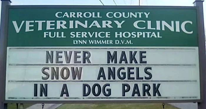 dog park meme