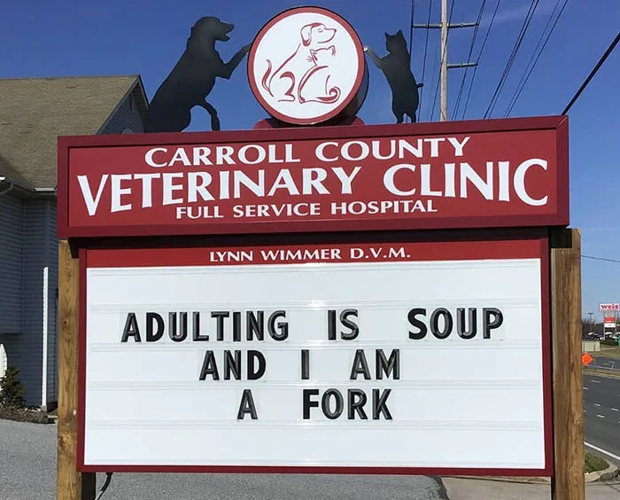 adulthood meme