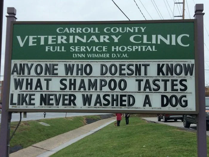 shampoo meme