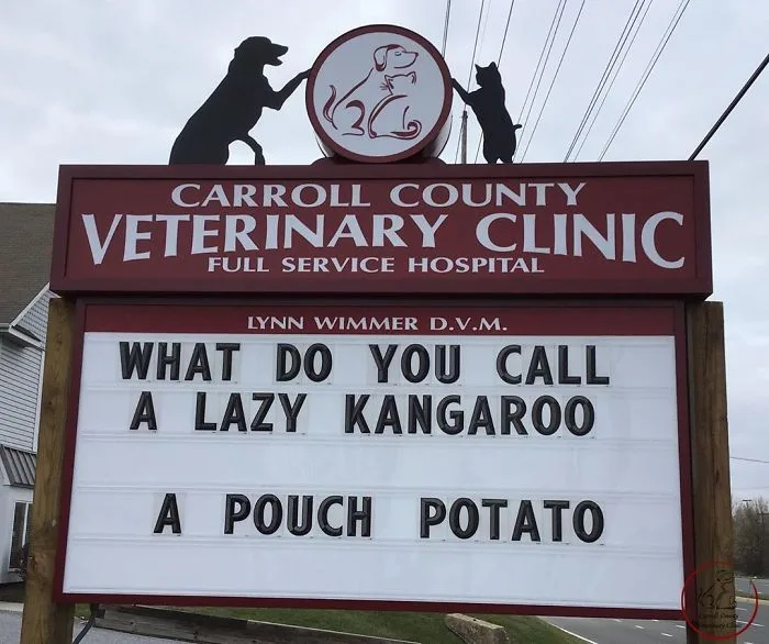kangaroo meme