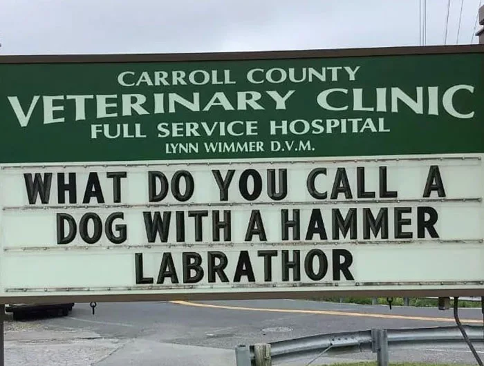 Thor meme
