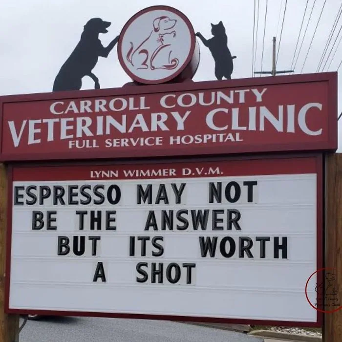 espresso meme