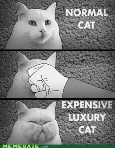 luxury meme