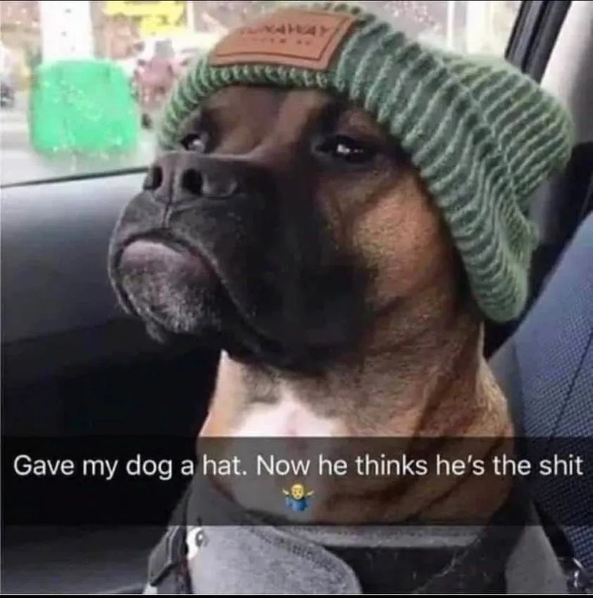 hat meme
