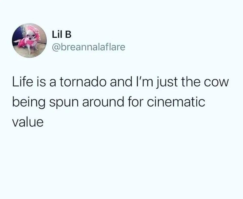 struggle meme