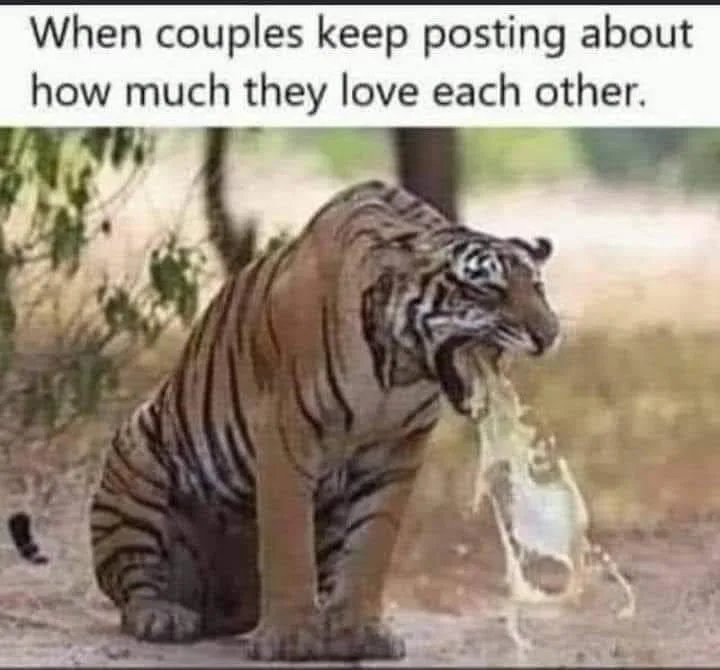 PDA - Public Display of Affection meme