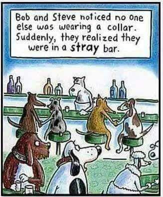 collar meme