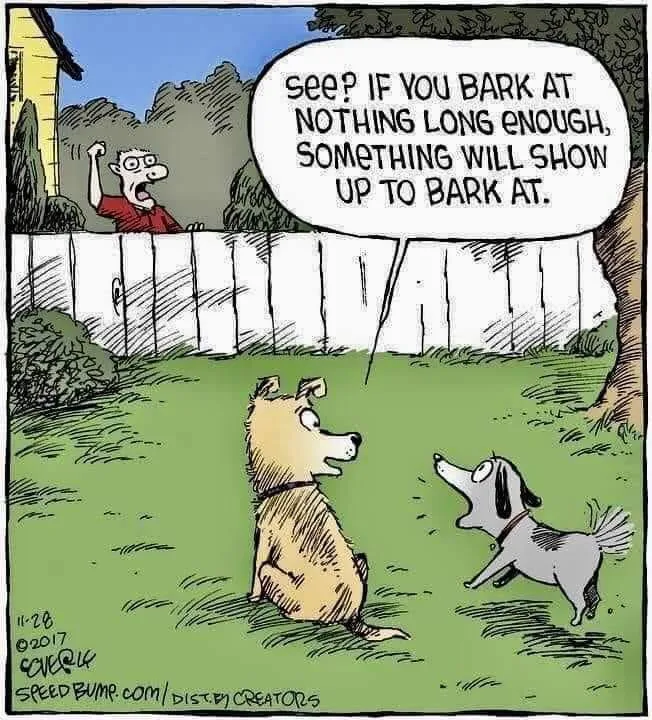 barking meme