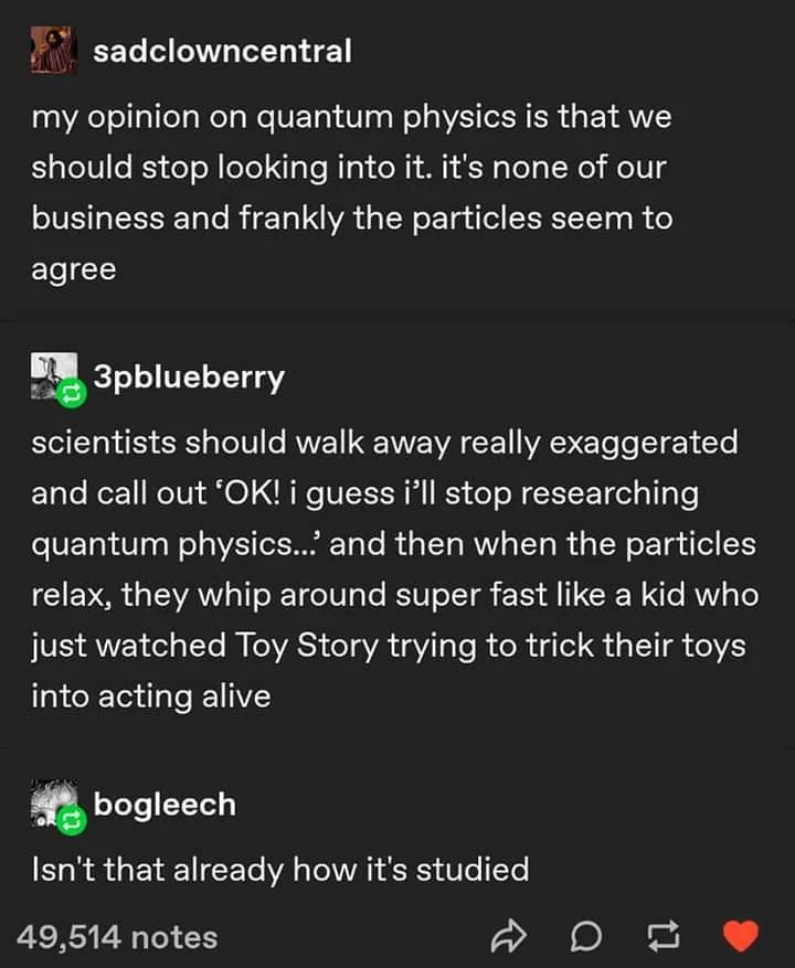 quantum physics meme