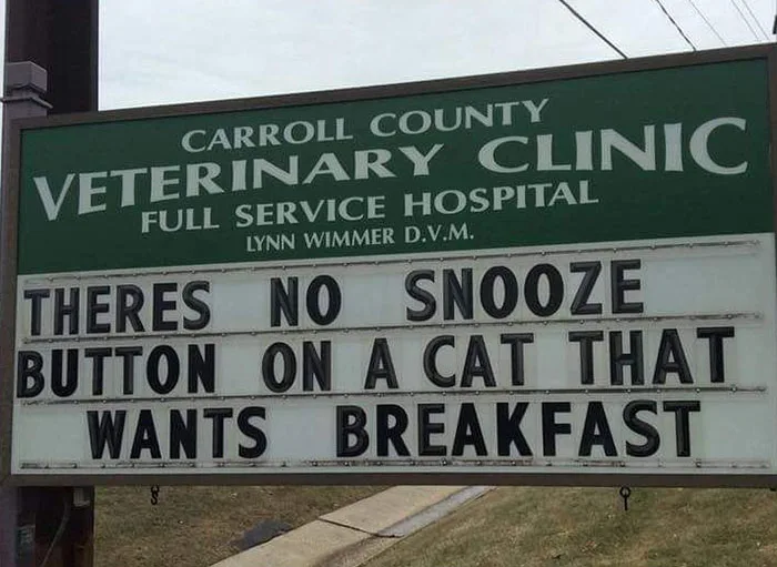 snooze button meme