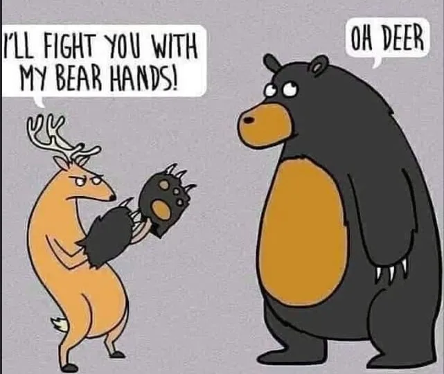 fighting meme