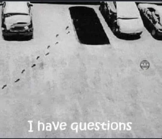snow meme