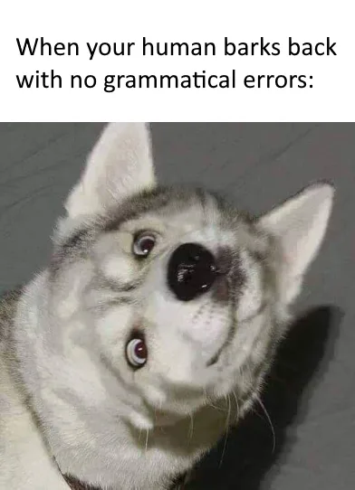 foreign language meme