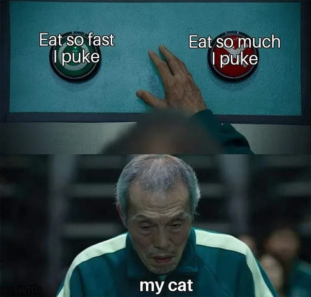 overeating meme