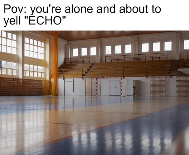 echo meme