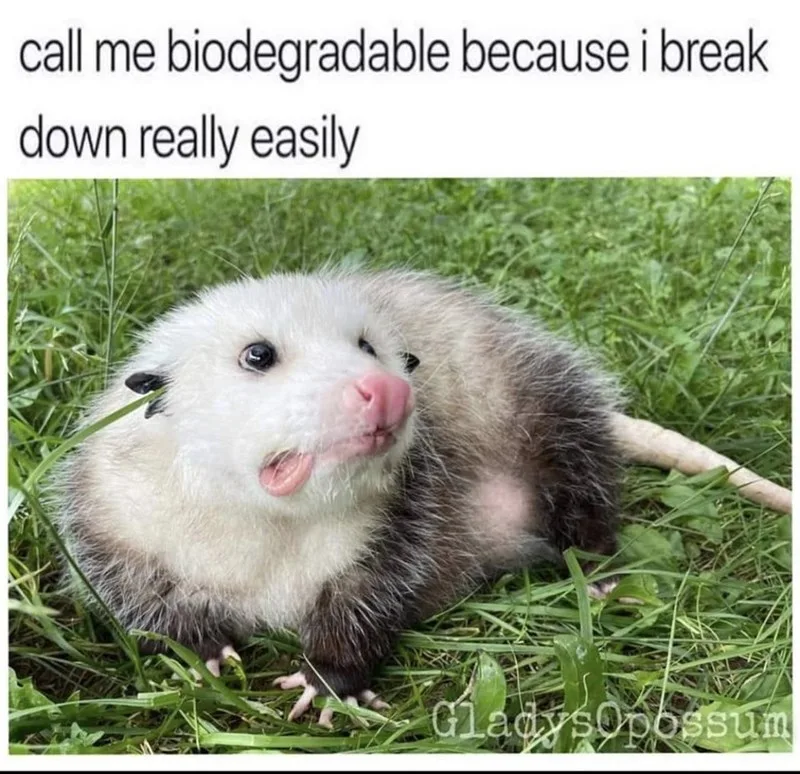 breakdown meme
